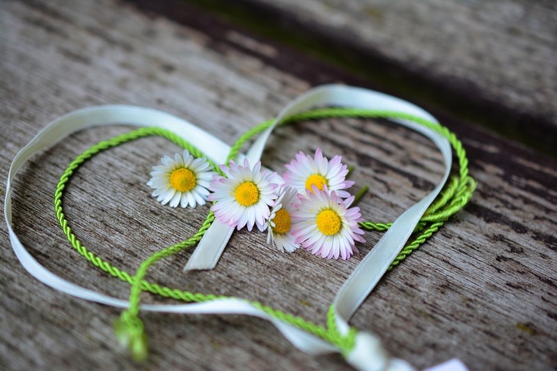 Heart love